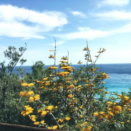 Zinnibiri * Villasimius